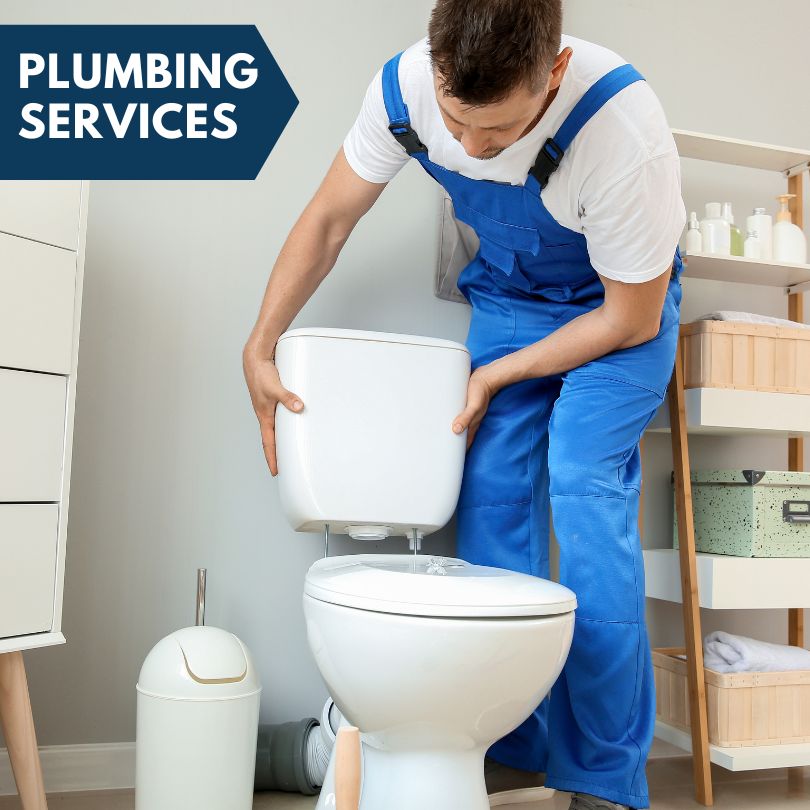 Plumbing Company in Bay Pines, FL